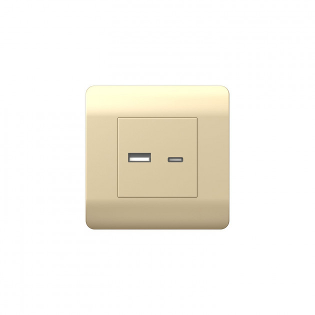 (NEW3-E) Розетка CHINT USB A+С, 5В/2,1А, шампань