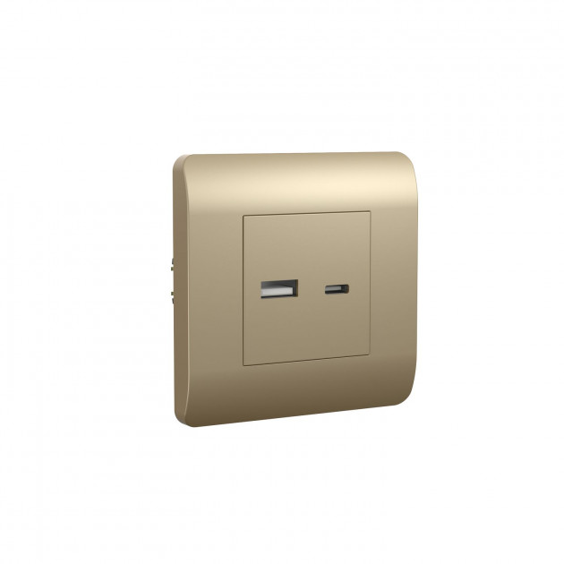 (NEW3-E) Розетка CHINT USB A+С, 5В/2,1А, шампань