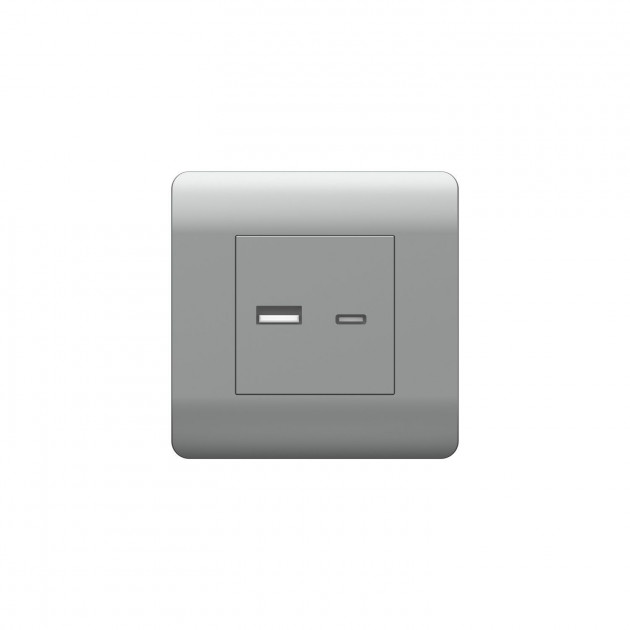 (NEW3-E) Розетка CHINT USB A+С, 5В/2,1А, серебряный